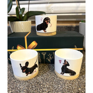 Set of 3 Kitchen Herb Succulent Plant Pots Dachshund Doxie Dog Ceramic Planter